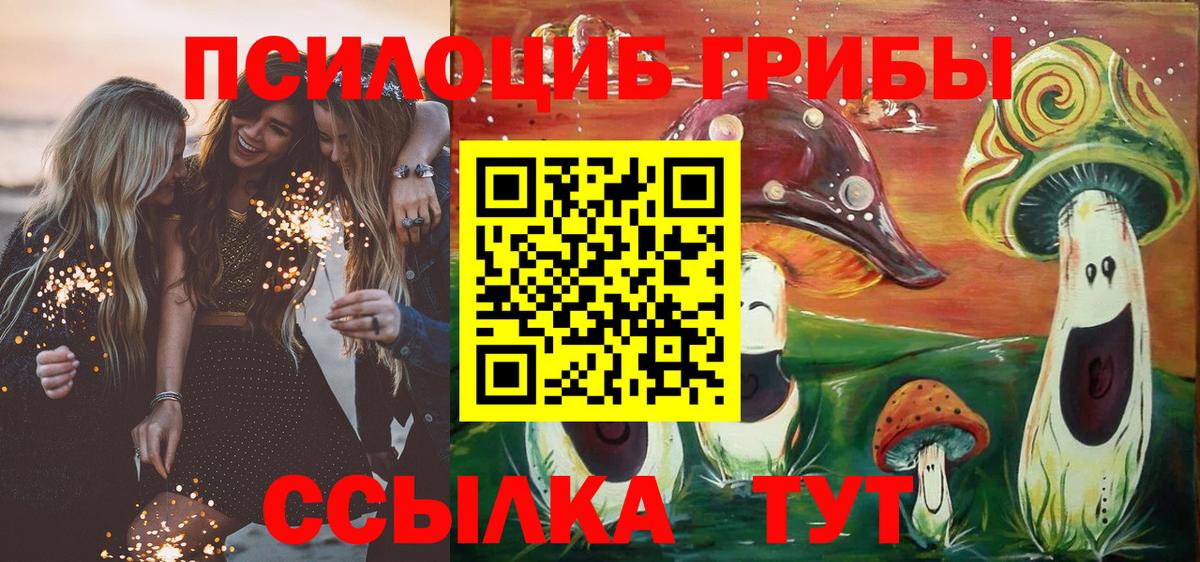 Галлюциногенные грибы прущие грибы Кимовск