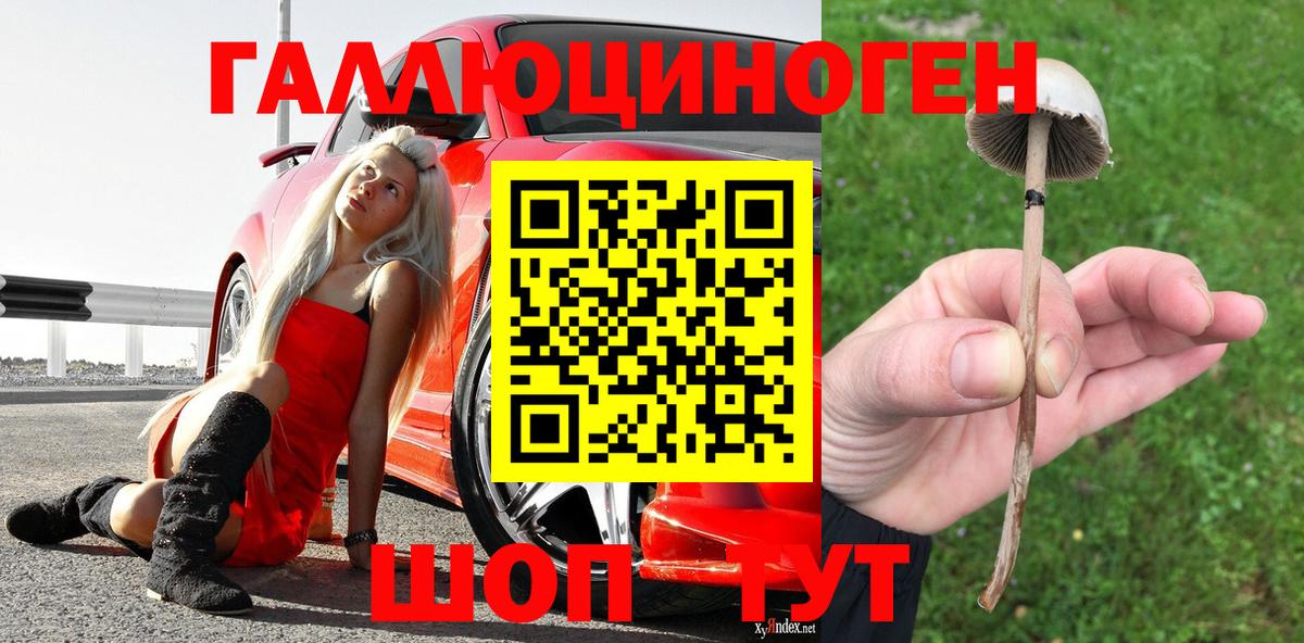 Псилоцибиновые грибы мицелий  Вход с VPN  Кимовск 